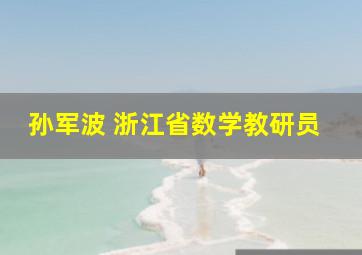 孙军波 浙江省数学教研员